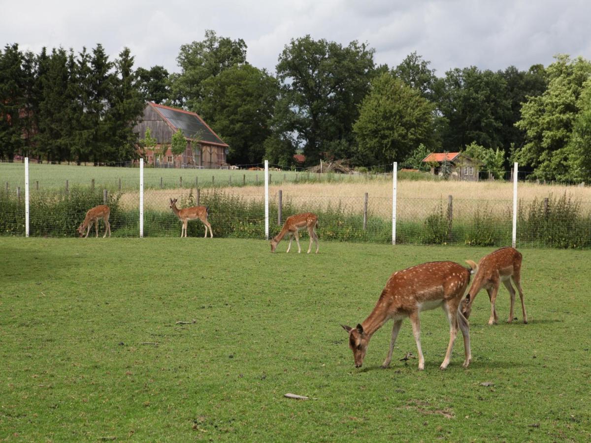 Gaeste Und Ferienhof Maas Dülmen 외부 사진